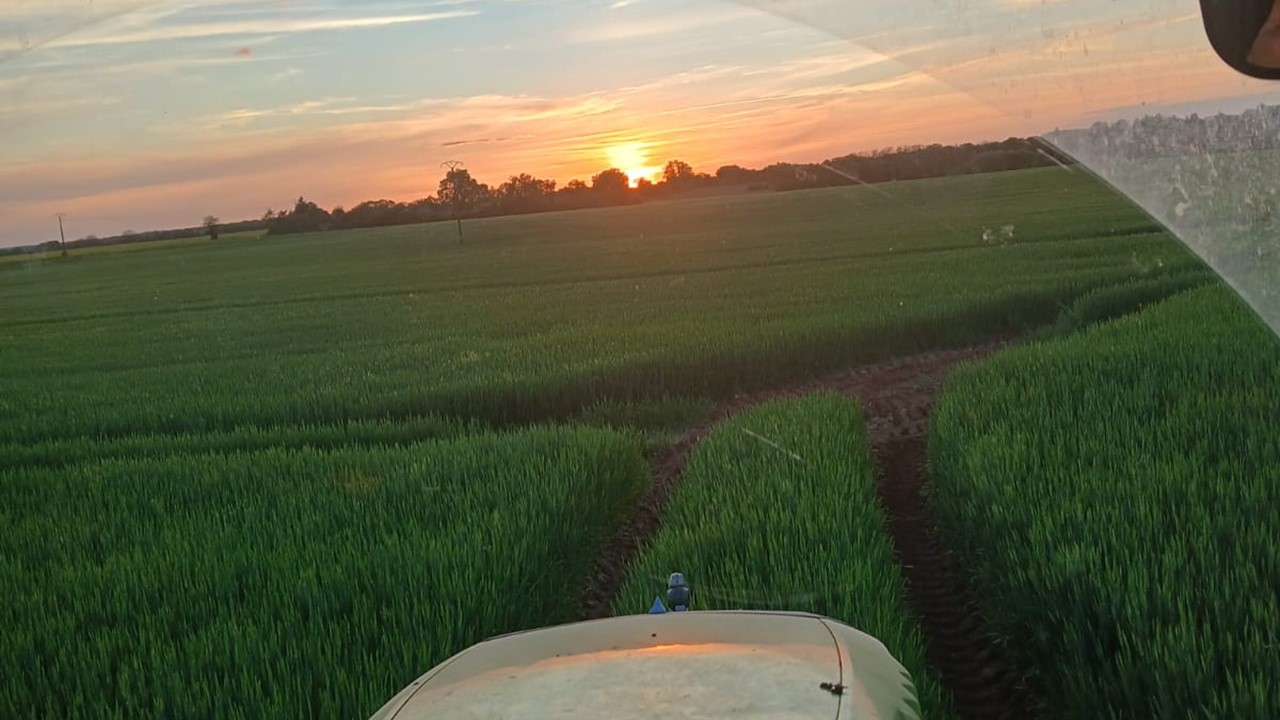 format cereales tracteur bles verts