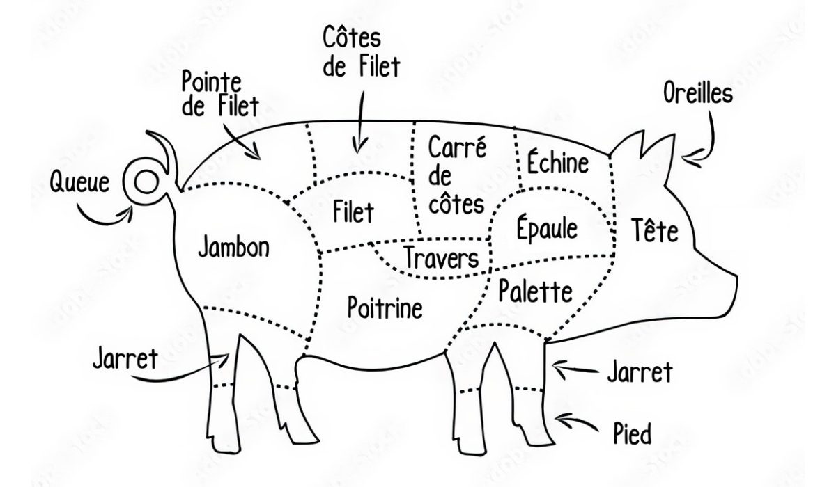 format produits cochon et ses decoupes_2